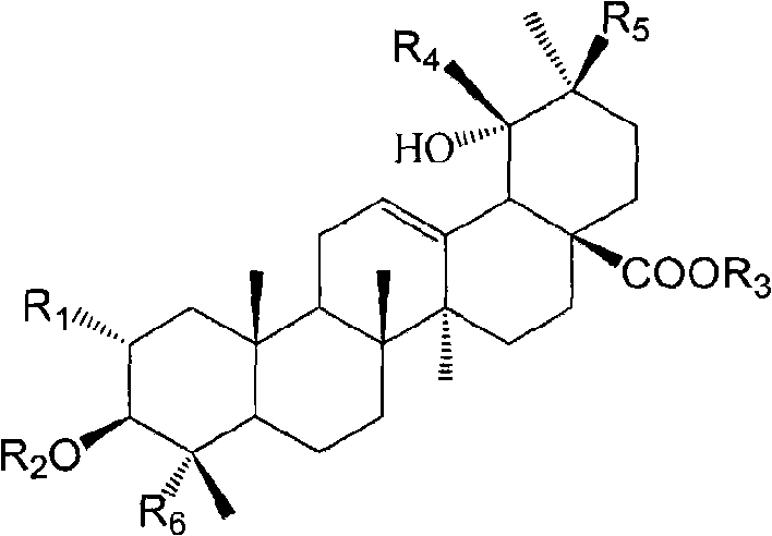 Total triterpene of garden burnet root with anti-inflammatory and analgesic effects and preparation method thereof