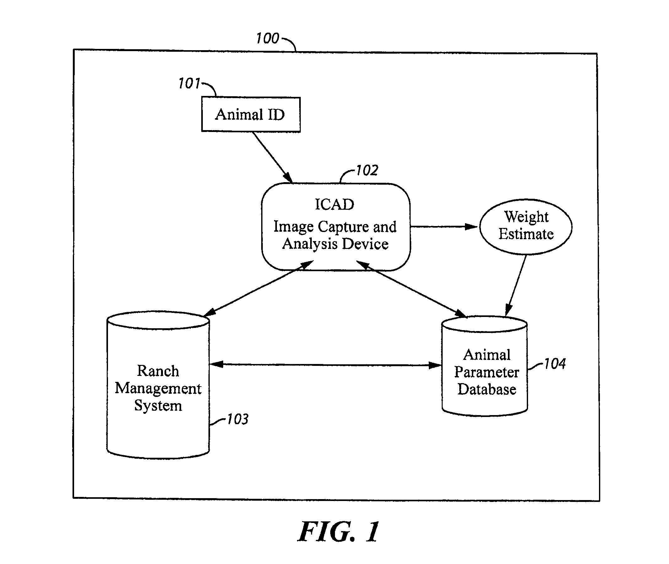 Apparatus and method for estimation of livestock weight