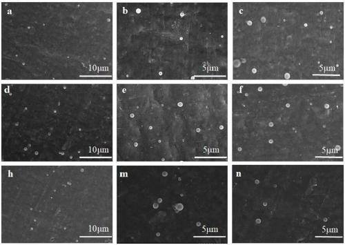 Heavy metal ion detection and adsorption integration polyacrylamide microgel