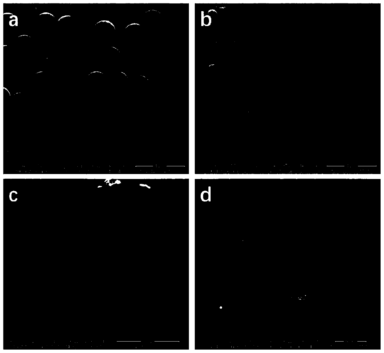 N-doped microporous carbon sphere ORR catalytic material and preparation method and application thereof