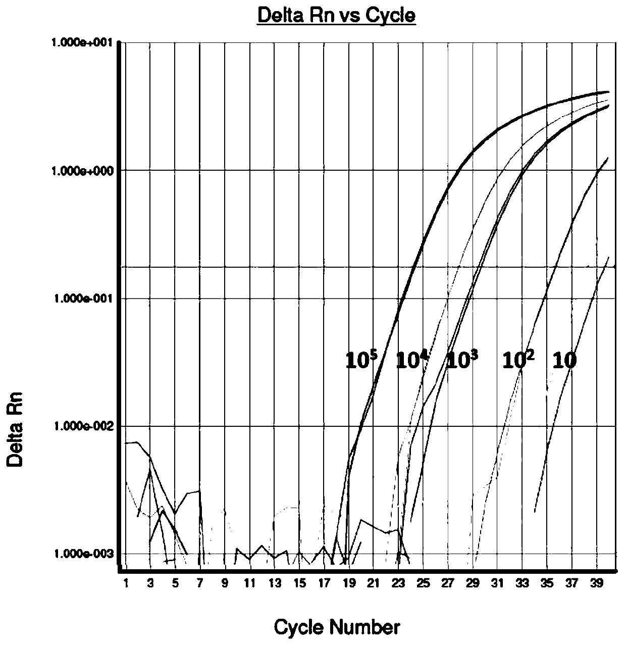 Primer, probe, reagent kit and method for detecting human parvovirus B19 based on real-time fluorescence PCR technique