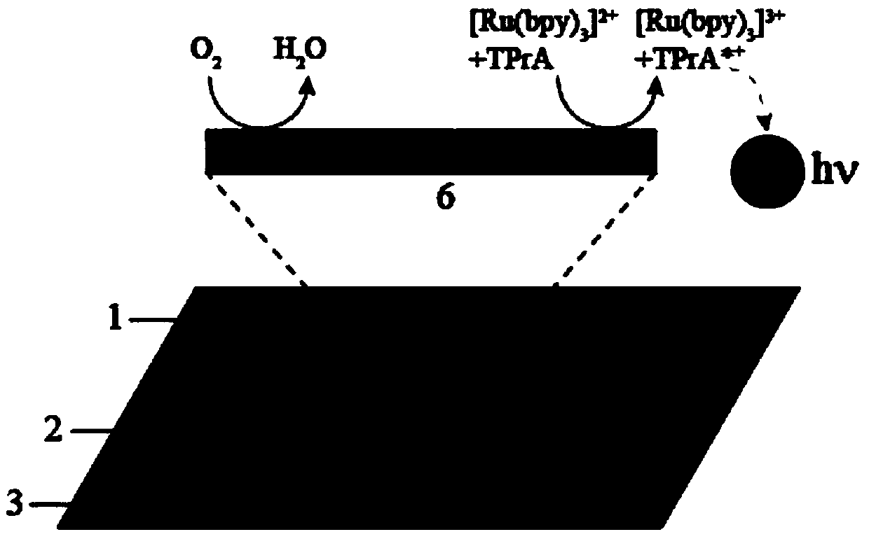 Bipolar electrode electrogenerated chemiluminescence paper based micro-fluidic chip and imaging sensing application thereof