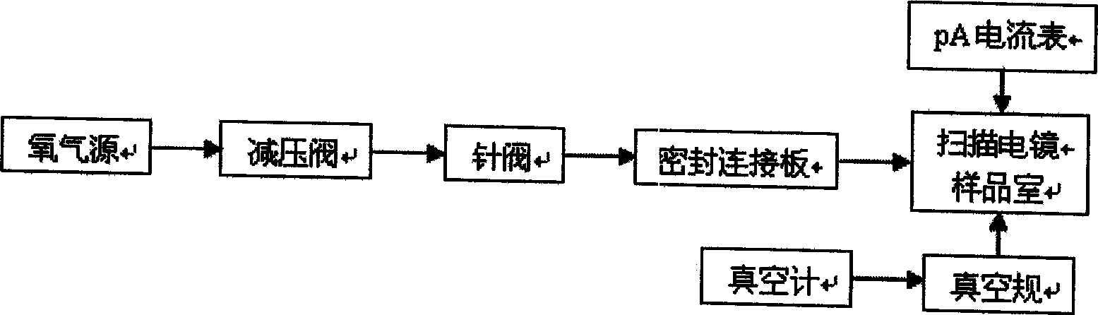 Oxygen environment scan electronic microscopic method and system