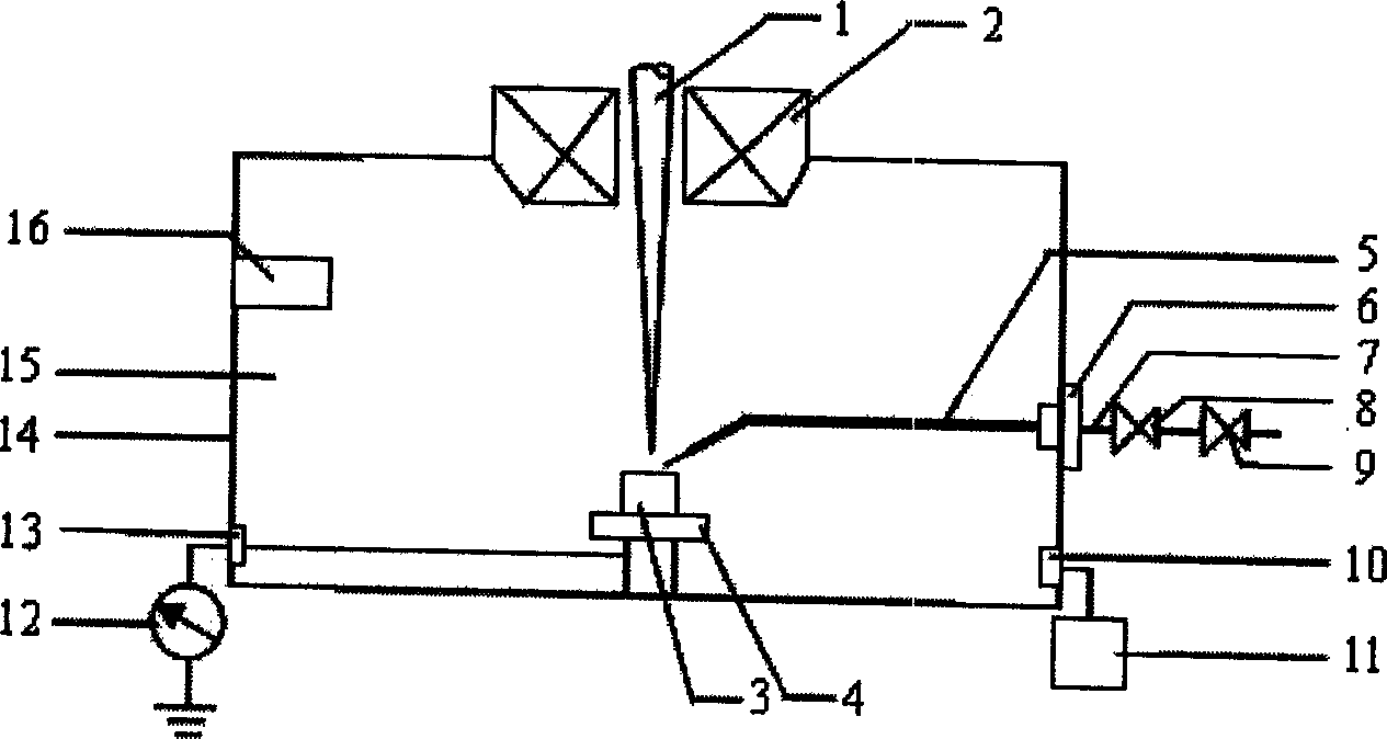 Oxygen environment scan electronic microscopic method and system