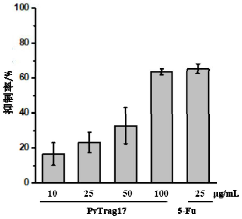 A kind of anti-tumor protein and its application