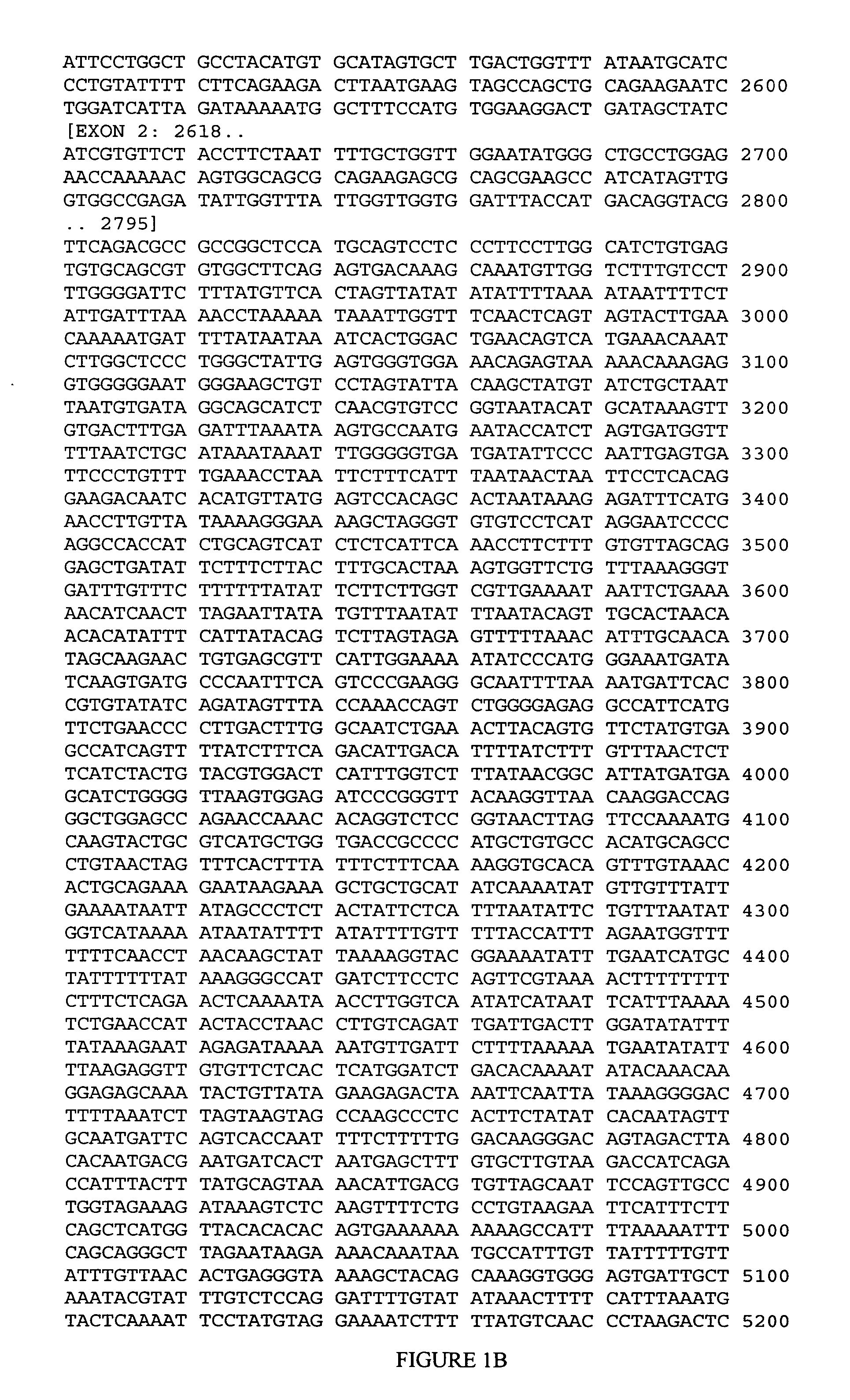 SLC5A7 genetic markers associated with age of onset of Alzheimer's disease