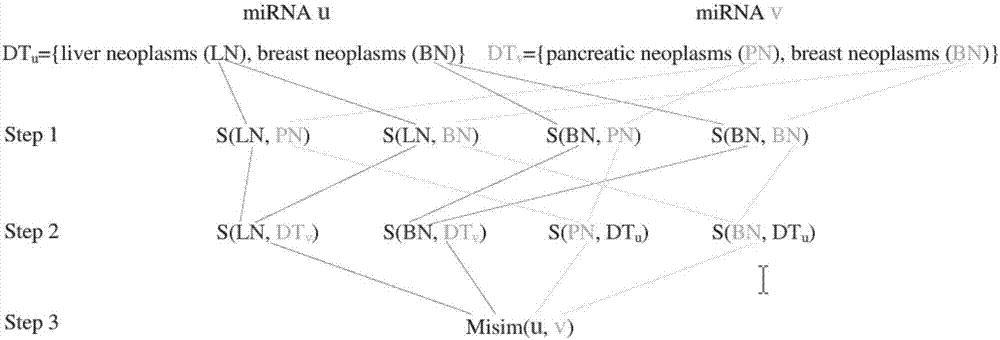 Improved miRNA-disease relevance prediction method based on collaborative filtering