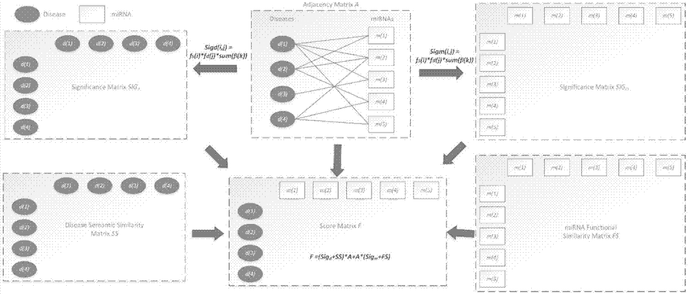 Improved miRNA-disease relevance prediction method based on collaborative filtering