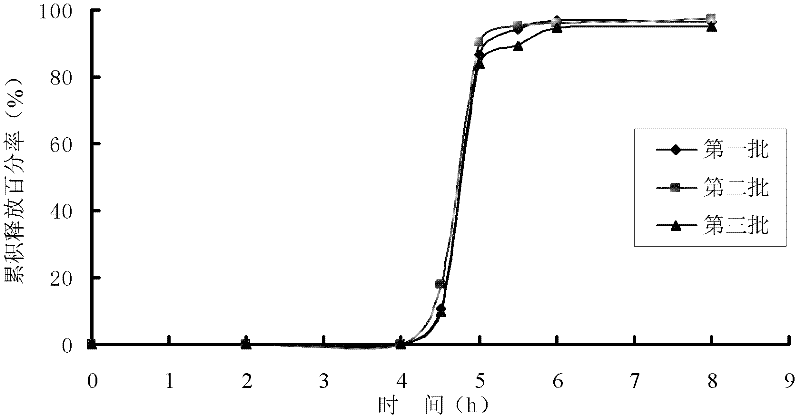 Gastrodin chronopharmaceutical medicine delivery preparation