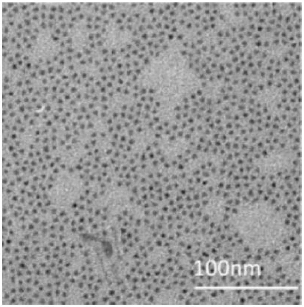 Quantum dot composite material and preparation method thereof