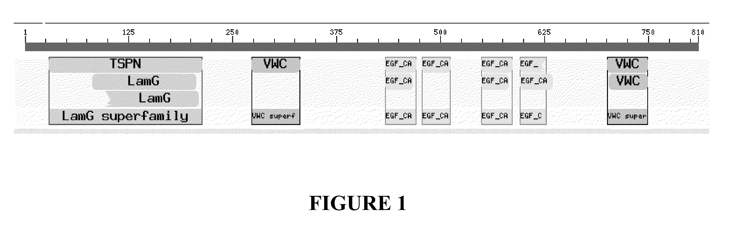 Methods to treat or prevent a skin condition using a nell1 peptide