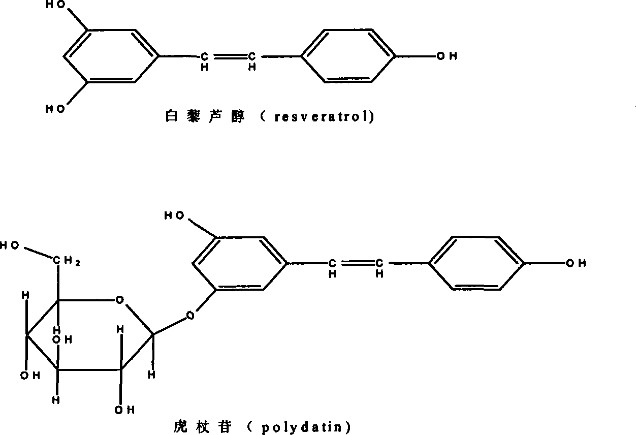 Application of giant knotweed rhizome toluylene total glycosides in preparing medicament for treating rheumatic disease