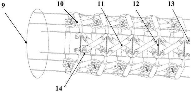 A multi-degree-of-freedom continuous robot with the function of grabbing objects flexibly