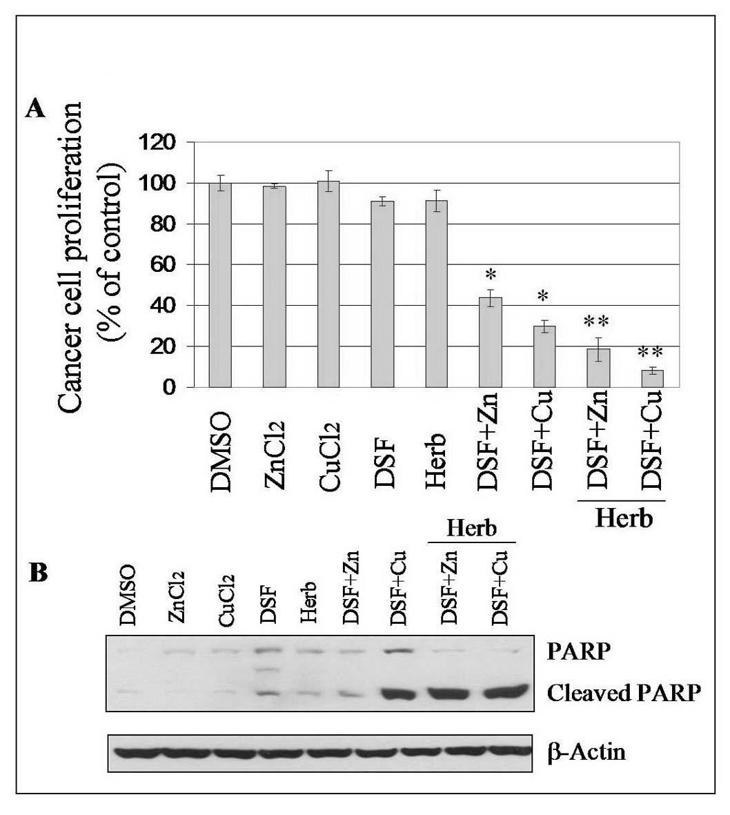 Anticancer composition and its application