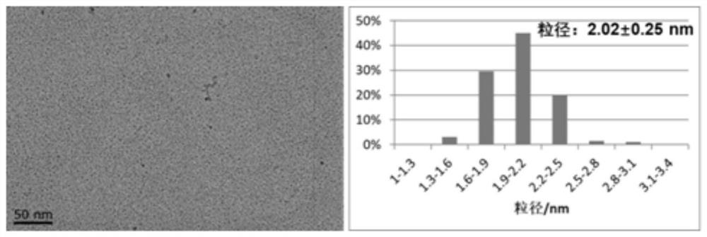 A fluid method for the continuous preparation of iron oxide nanoparticles