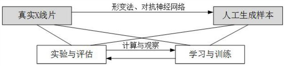 X-ray bone age prediction method and system based on deep learning