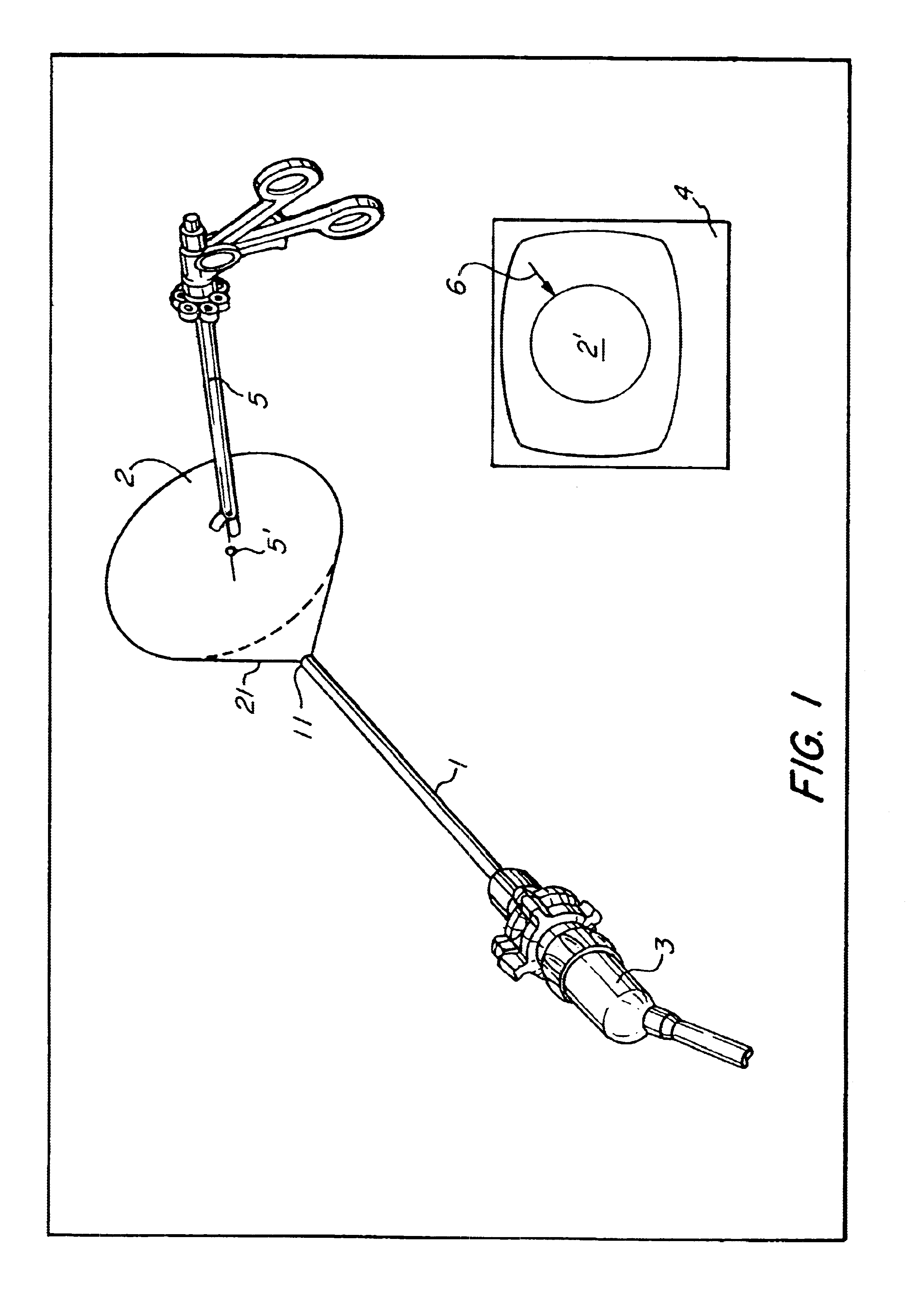 Endoscopic system