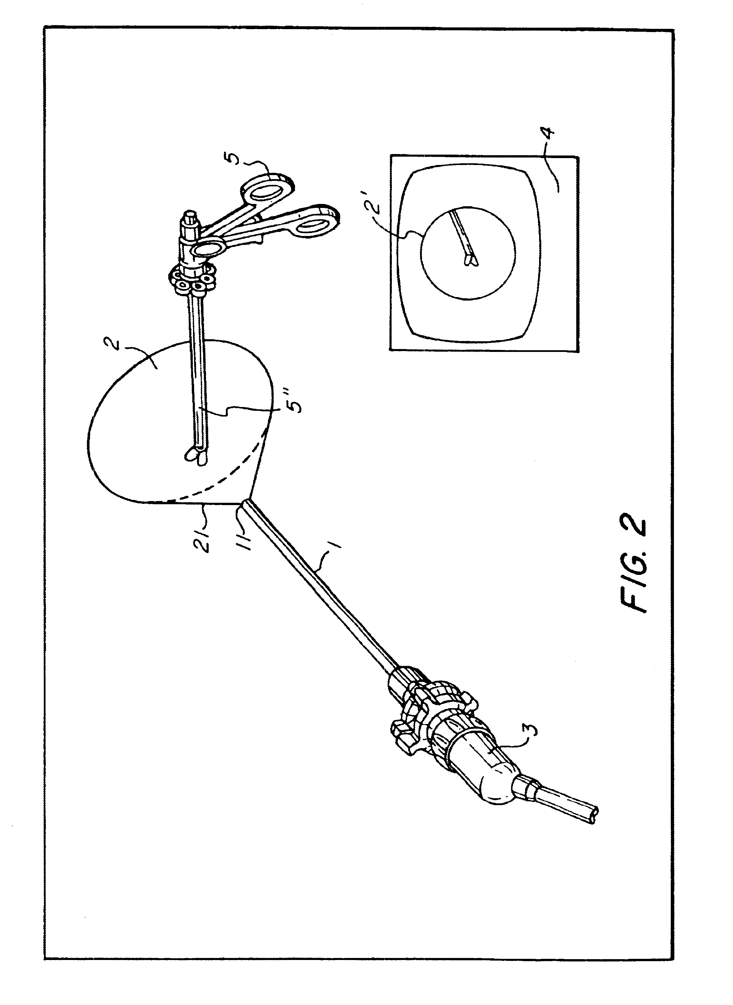 Endoscopic system