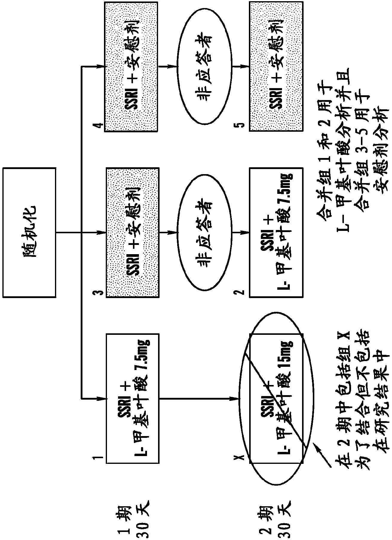 Assays For Selecting A Treatment Regimen For A Subject With Depression And Methods For Treatment