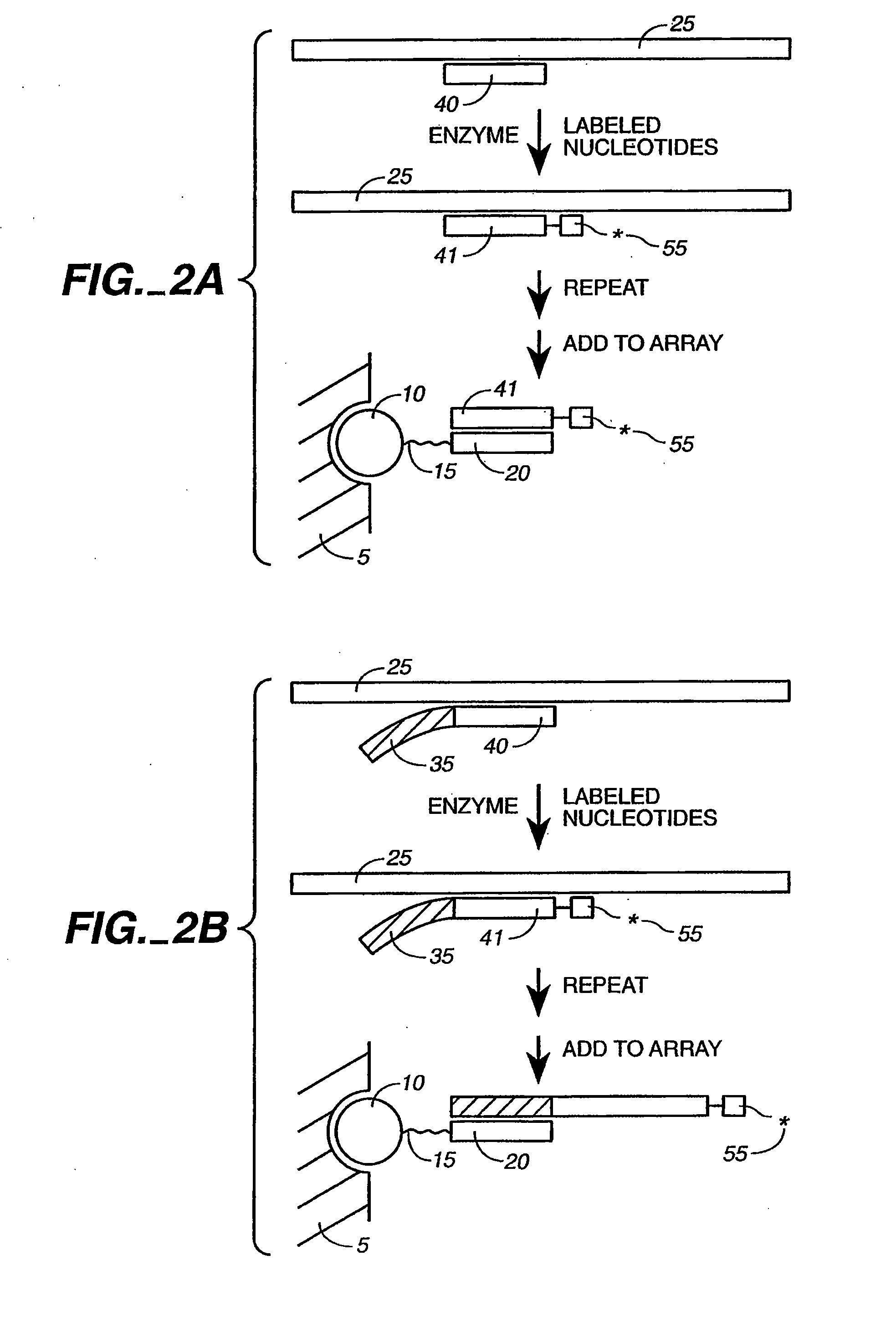 Detection of nucleic acid reactions on bead arrays