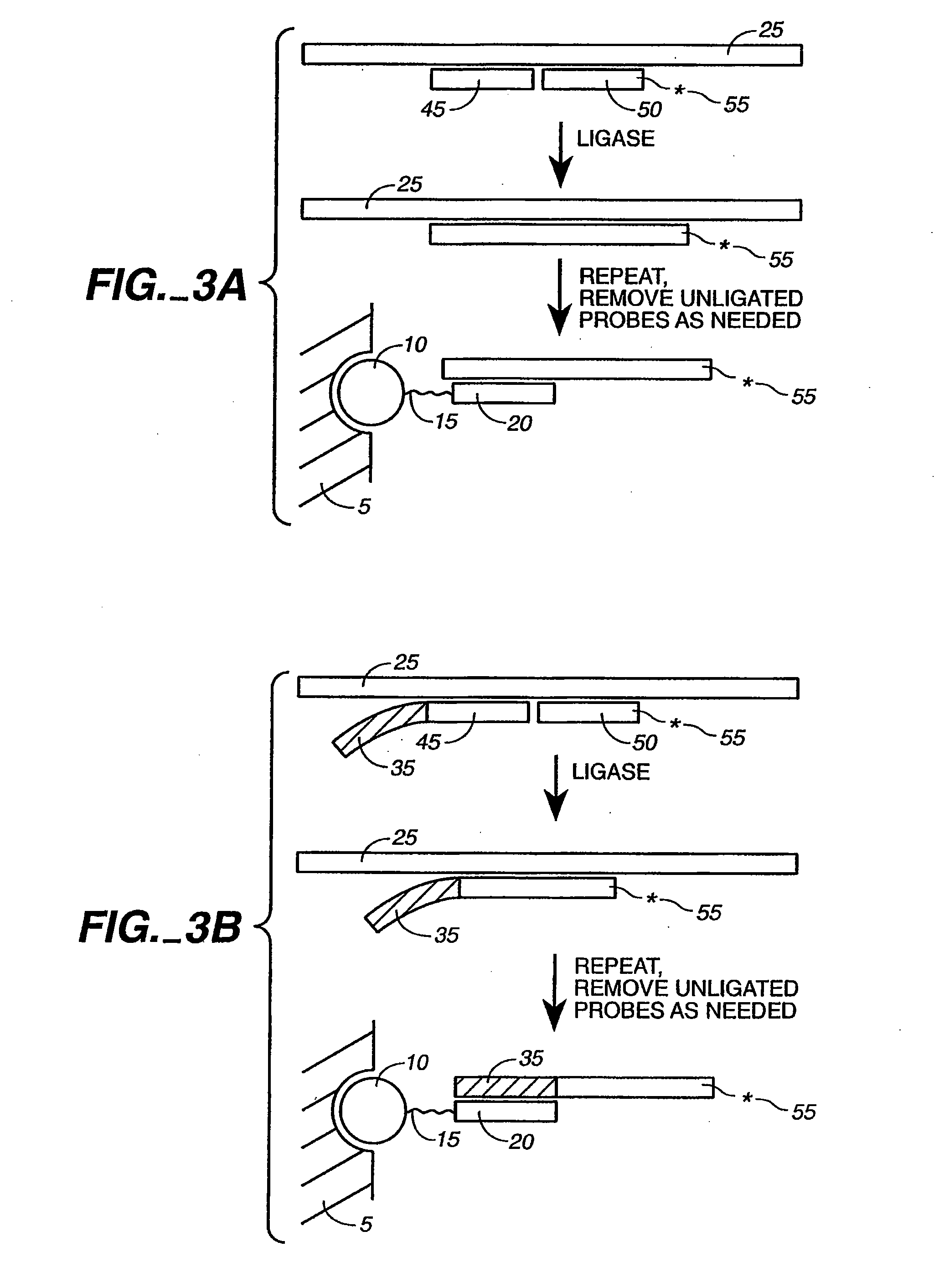 Detection of nucleic acid reactions on bead arrays