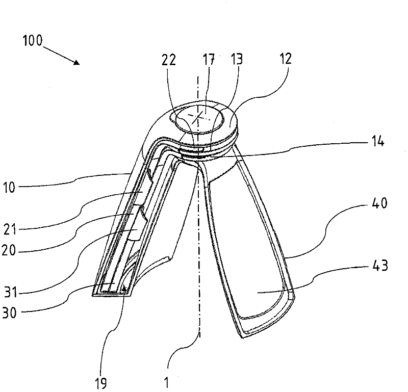 Fan-shaped grater for foodstuffs