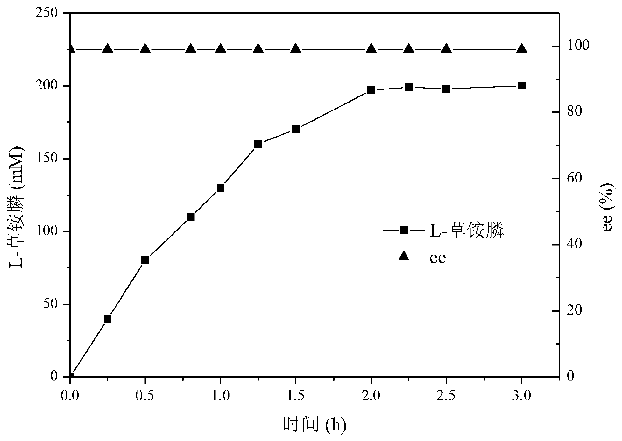 Glufosinate dehydrogenase mutant and application thereof