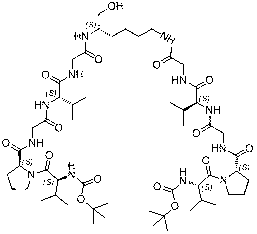 Elastin-like polypeptide based temperature-sensitive polymer molecule brush and preparation method thereof