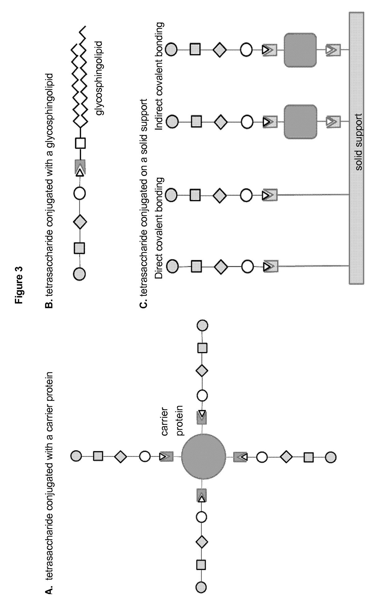 Vaccines against <i>Streptococcus pneumoniae </i>serotype 8