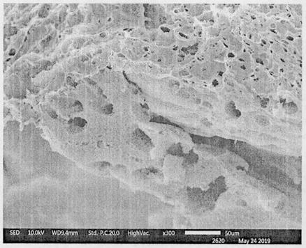 Preparation of chitosan/cellulose aerogel balls with high formaldehyde adsorption characteristics