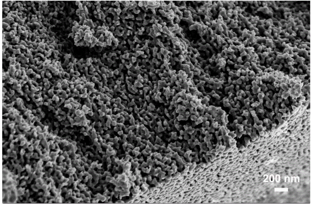 Nanometer porous silver alloy material and preparation method thereof