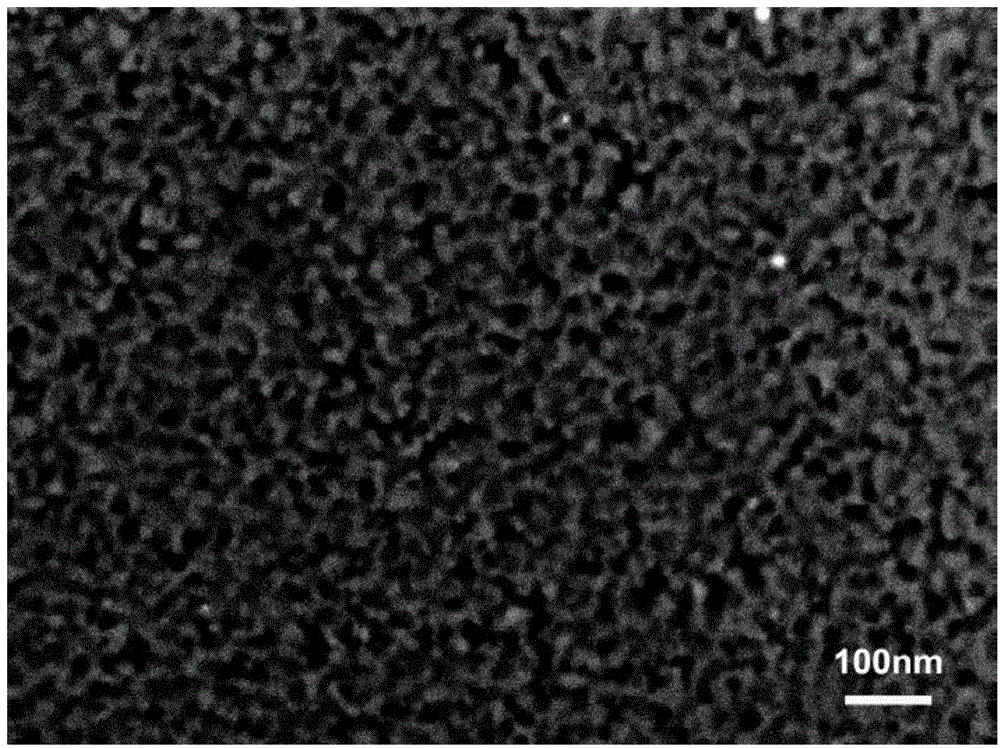 Nanometer porous silver alloy material and preparation method thereof