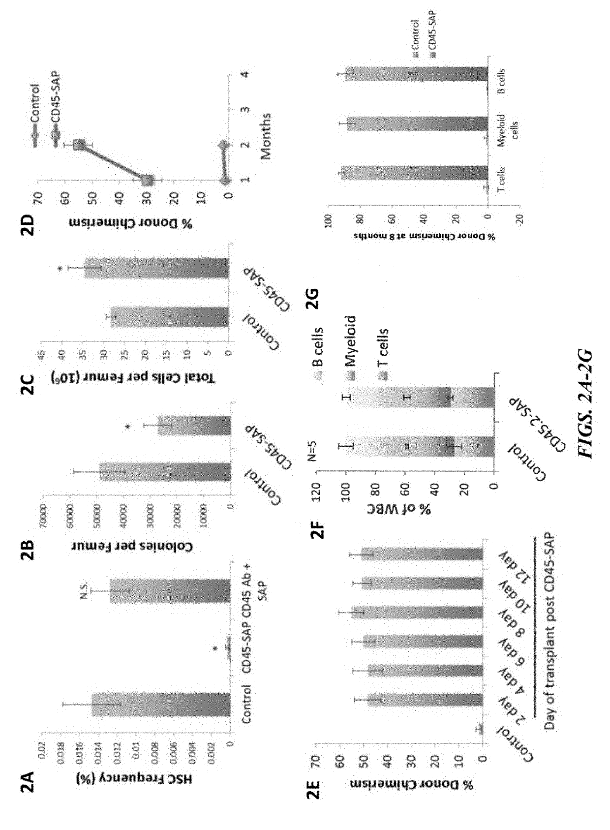 Compositions and methods for non-myeloablative conditioning