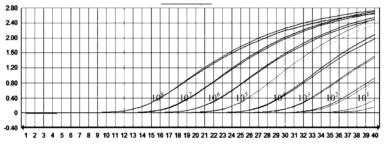 Method, primers, probes and kit for detecting relative expression of RBM5 gene