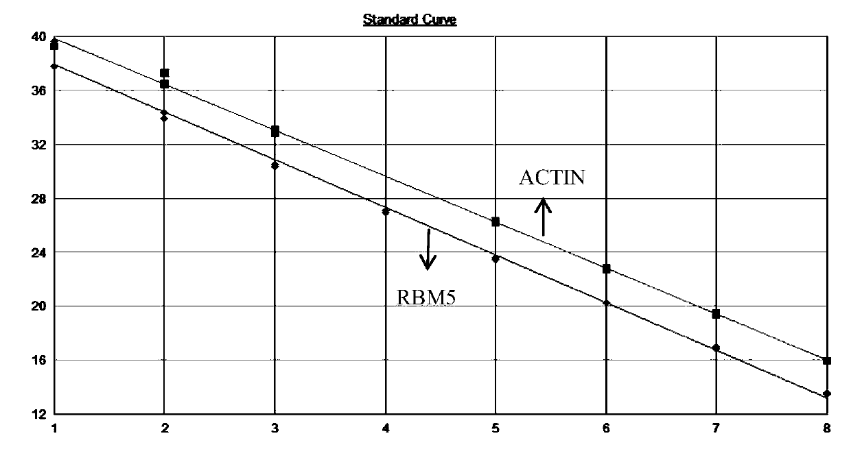 Method, primers, probes and kit for detecting relative expression of RBM5 gene