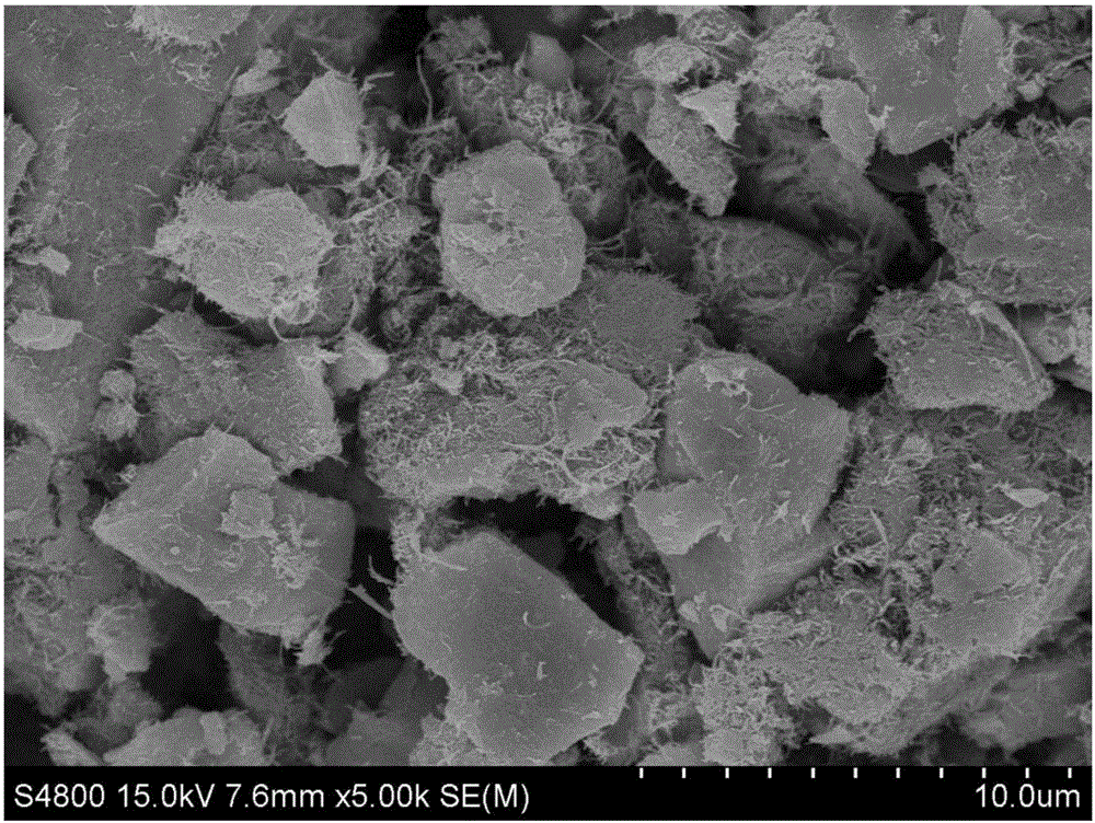 Molybdenum sulfide multi-walled carbon nanotube gold modified glassy carbon electrode