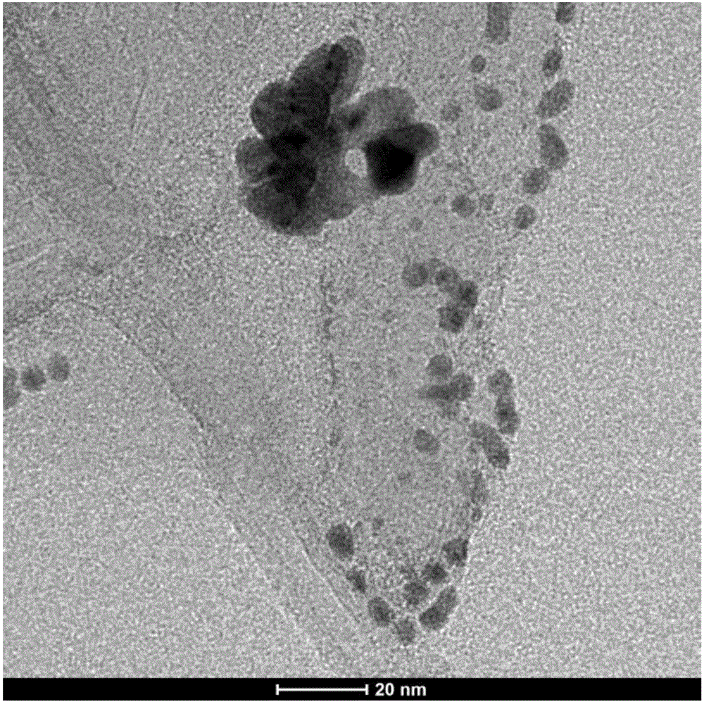 Molybdenum sulfide multi-walled carbon nanotube gold modified glassy carbon electrode