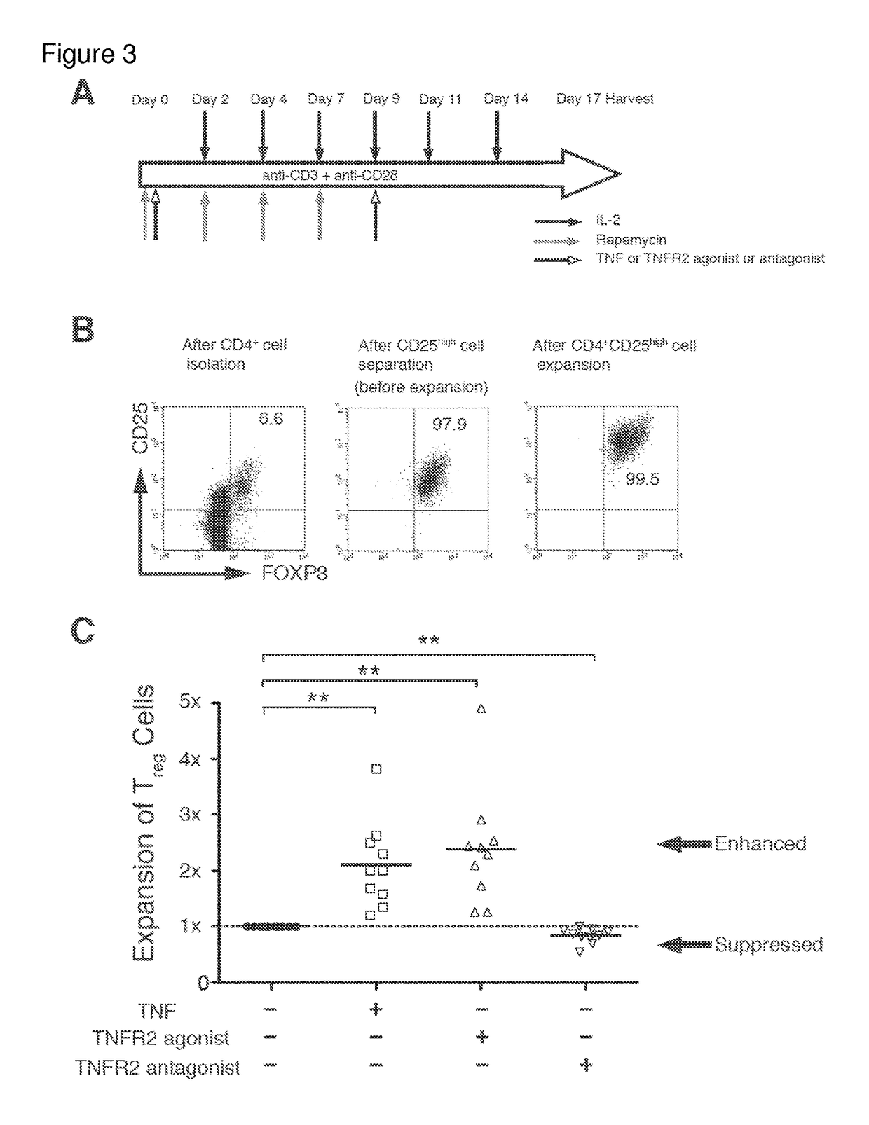 Methods for expansion or depletion of T-regulatory cells