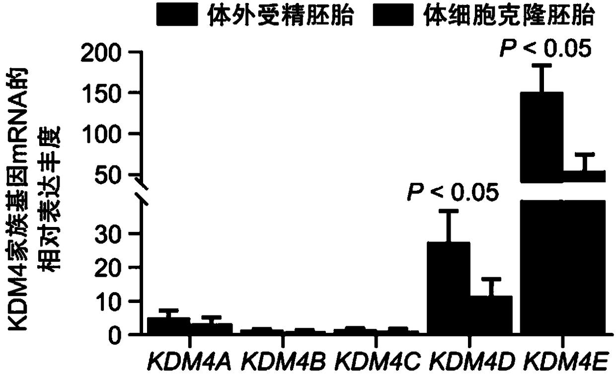 Vector and method for increasing cattle cloning efficiency based on histone methylation level modification