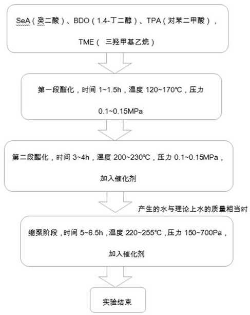 Tear-resistant environment-friendly PBSeT copolyester material and preparation method thereof