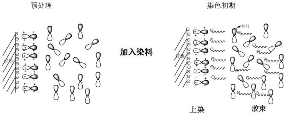 Salt-free dyeing and hand feeling finishing agent for pH value temperature response cotton