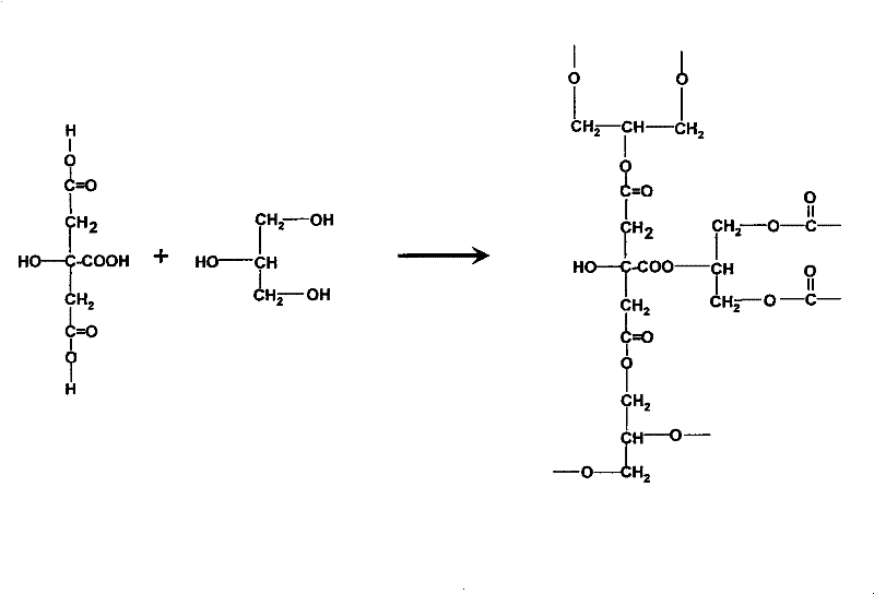 Preparation of biodegradable fermentation organic acid ployester