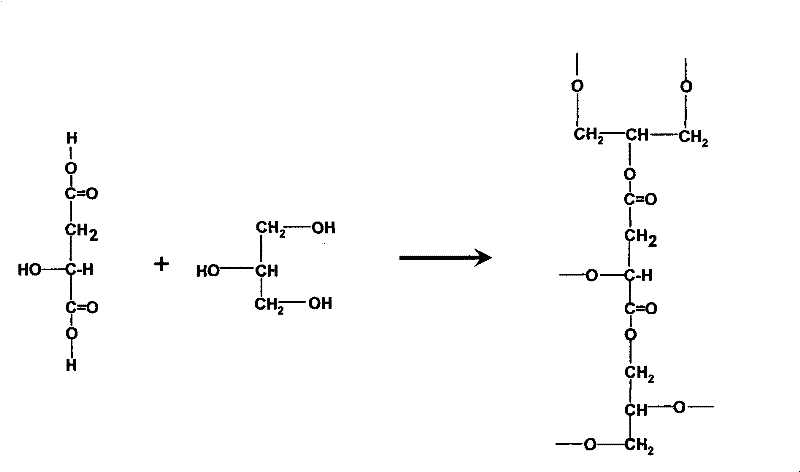 Preparation of biodegradable fermentation organic acid ployester