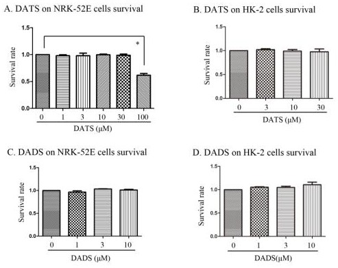 Application of allicin and its derivatives in the preparation of medicines for preventing and treating kidney damage caused by urinary stones and crystals