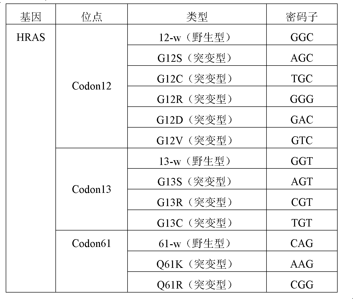 HRAS gene mutation detection specificity primer and liquid chip thereof