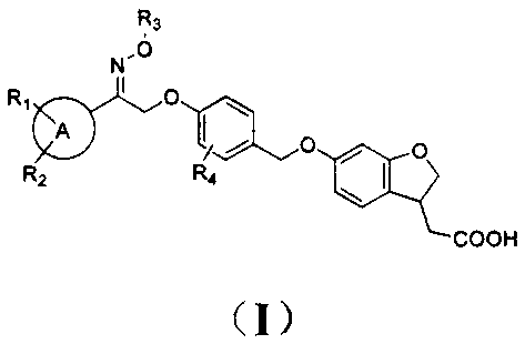 Novel oxime ether derivative and preparation method thereof and application of derivative by serving as drug