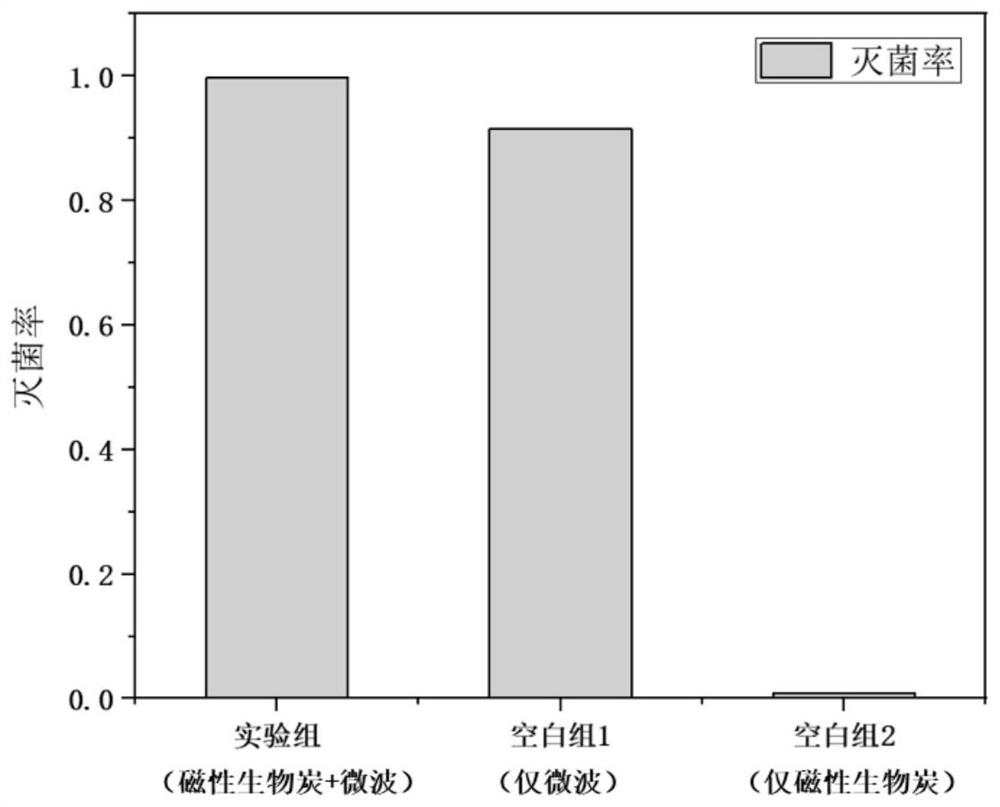 Environment-friendly magnetic charcoal sponge as well as preparation method and application thereof