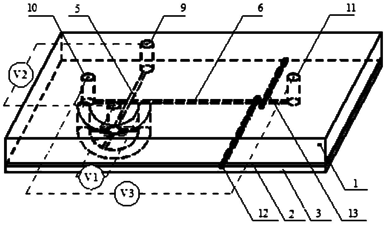 Electrophoresis microchip with online ion enrichment device and detection method