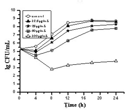 Application of carborane derivatives, nano compound preparation and application of nano compound preparation