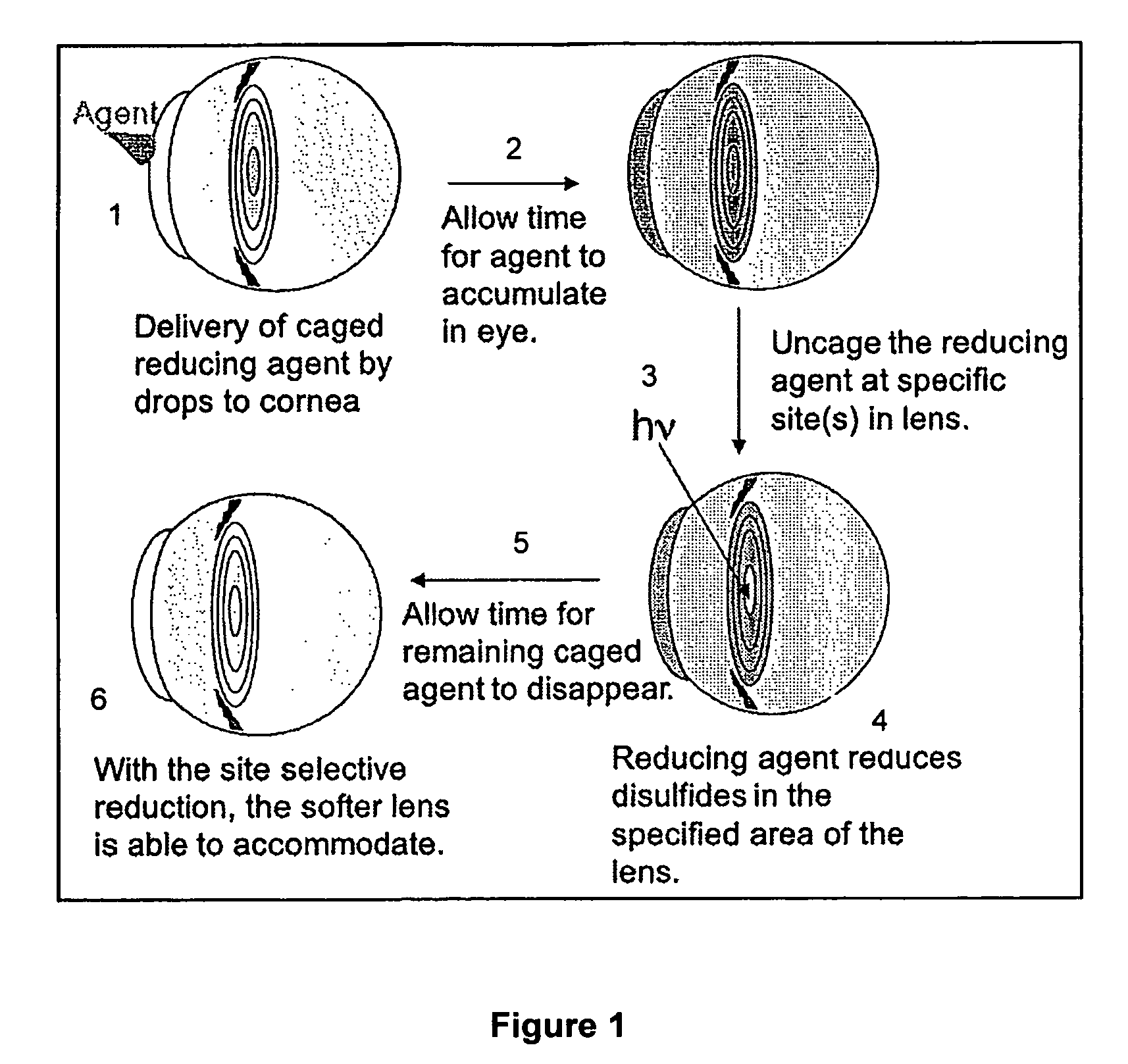 Caged mercaptan and seleno-mercaptan compounds and methods of using them